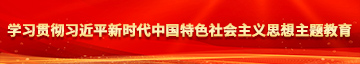 骚操网站学习贯彻习近平新时代中国特色社会主义思想主题教育